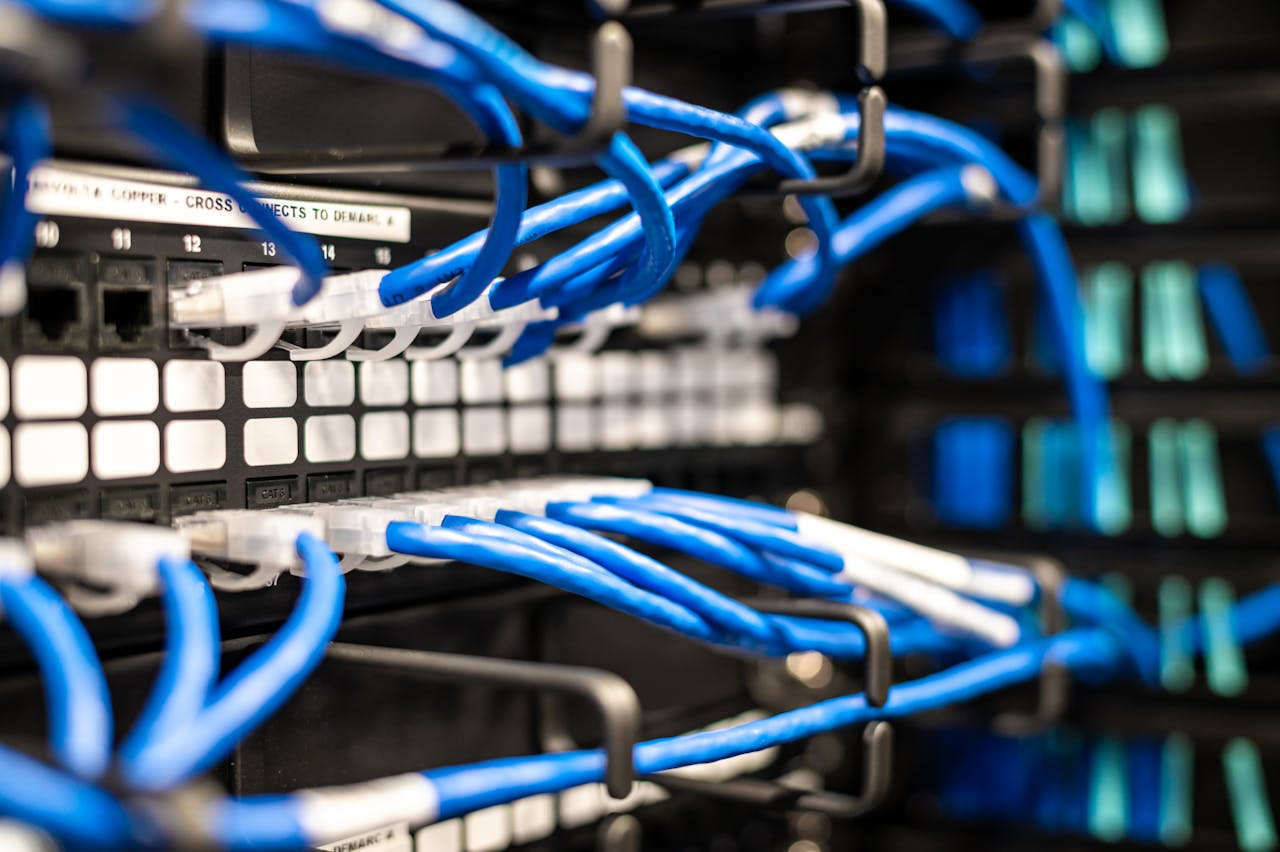 Services Blue plastic wires with white tips connected to server and provide access to information